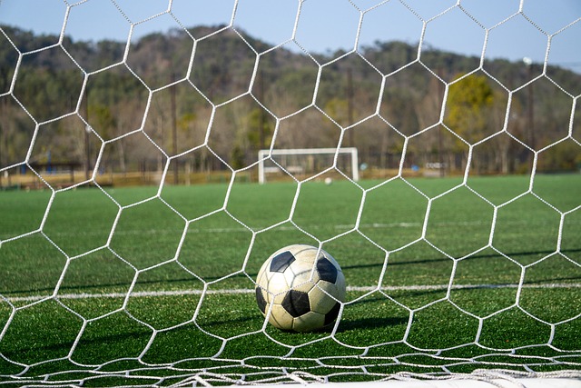 加经济制裁 加经济制裁