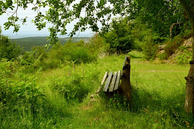 他不仅收获 他不仅收获