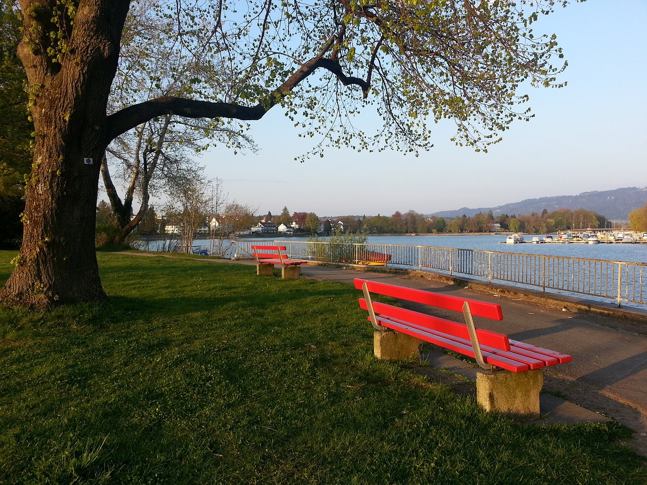 请其他国家 请其他国家