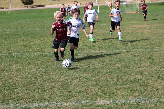 他运动员提 他运动员提