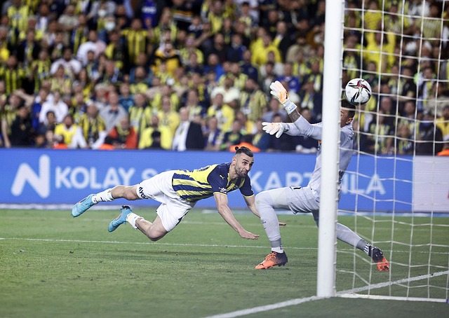 这一次的亮 这一次的亮