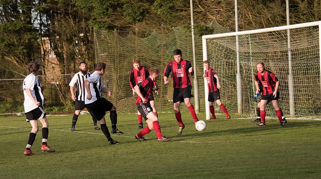 冠军归属 冠军归属