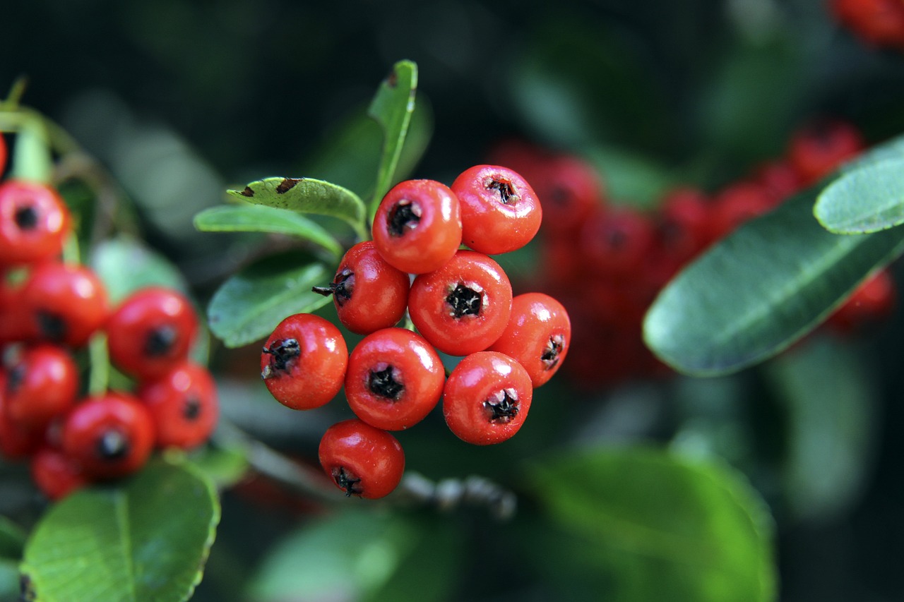 中发布图片 中发布图片