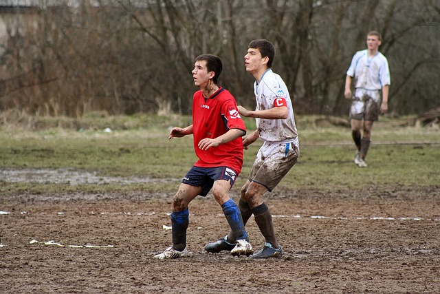 样不可忽视 样不可忽视